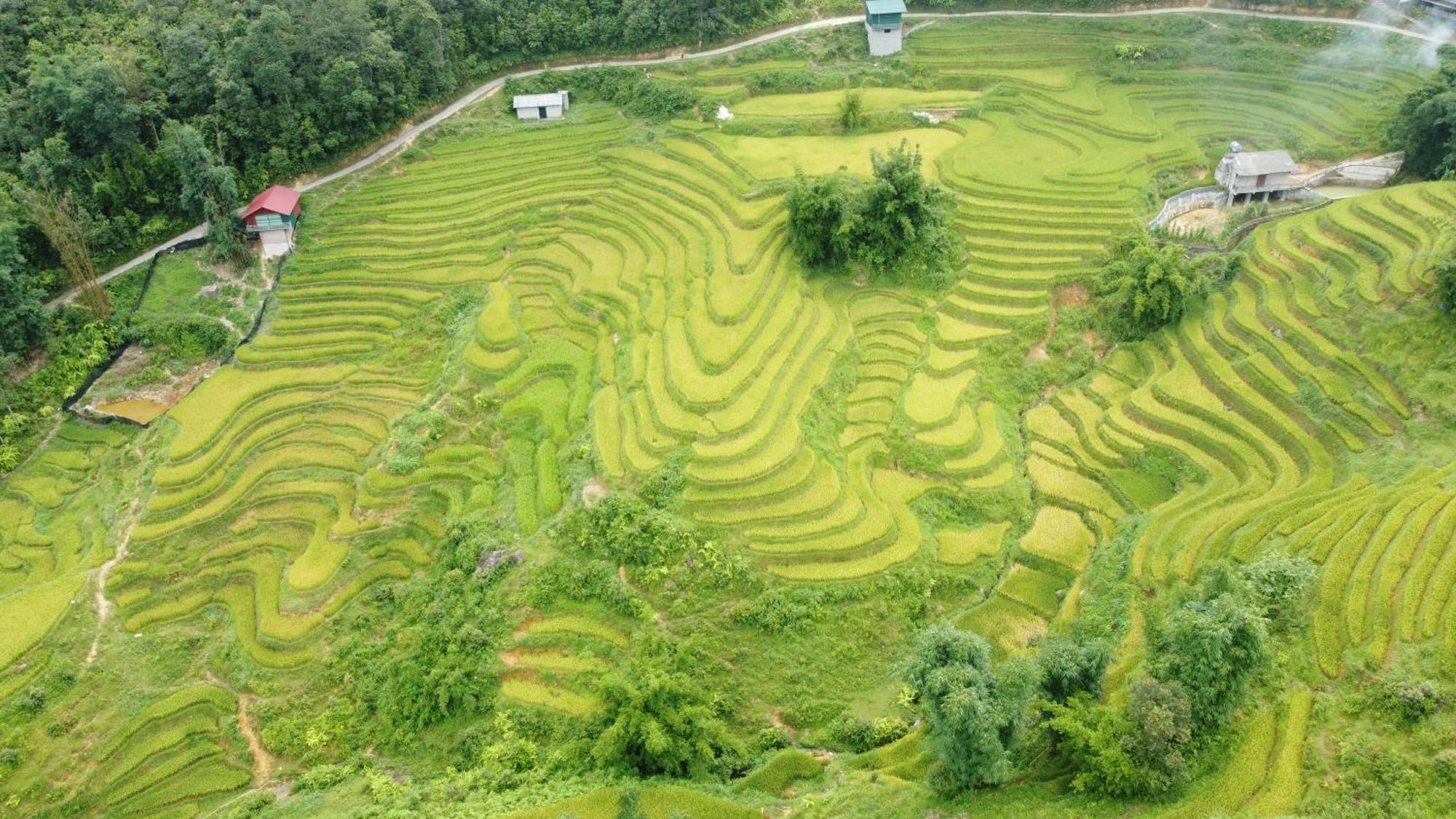 Sapa Retreat Condotel Buitenkant foto