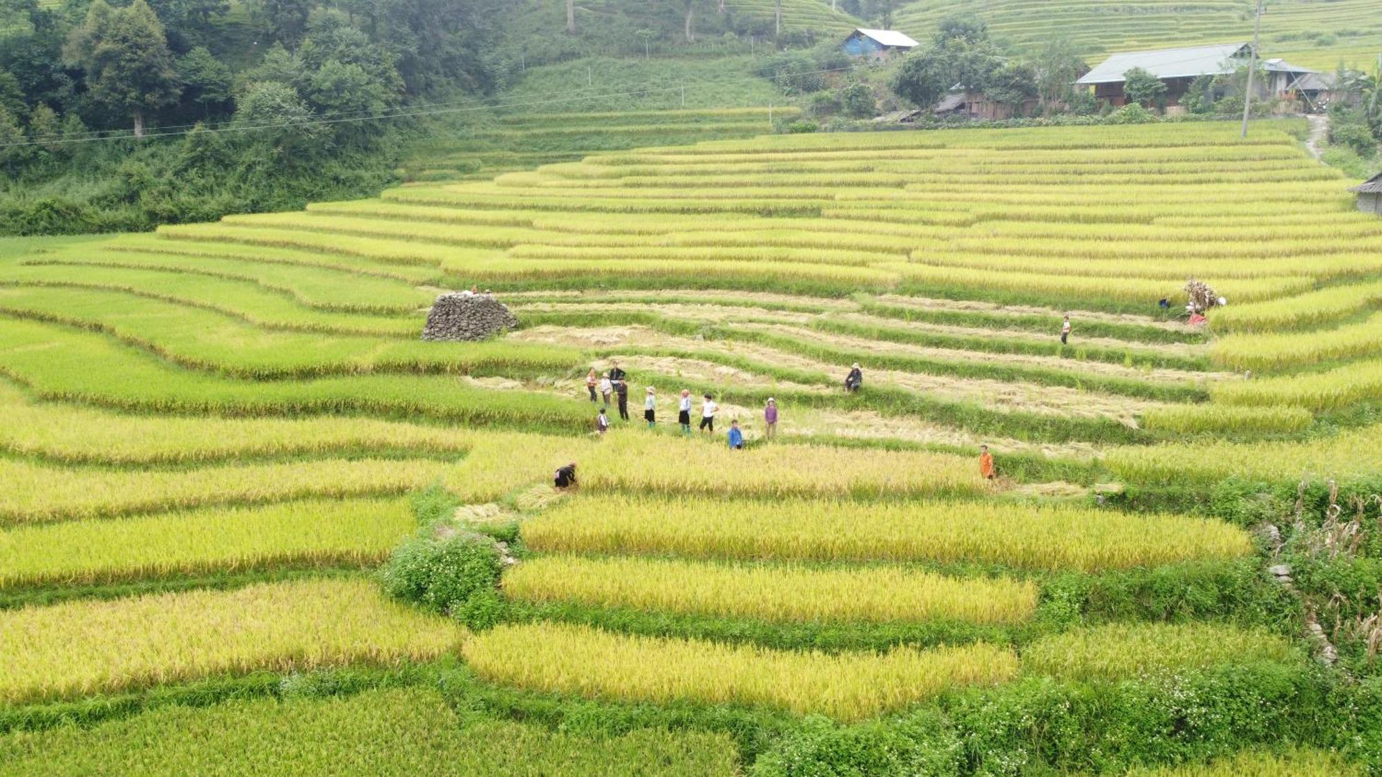 Sapa Retreat Condotel Buitenkant foto